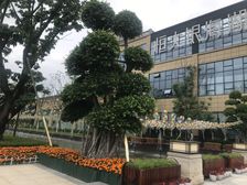 恒大银海湖3室2厅南北