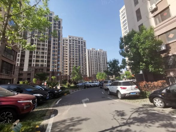 新都心苑实景图