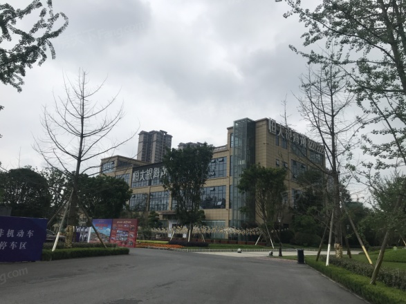 恒大银海湖别墅实景图