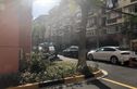 保德路1316弄小区实景图