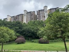 龙城1号 3室1厅 东南