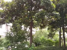 田林·宜山路655弄·3室·1厅