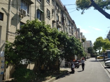 梅陇·莘朱路1760弄·2室·2厅