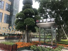 恒大银海湖二期3室2厅东北