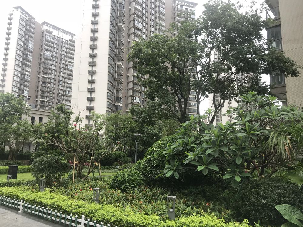 小区相关图