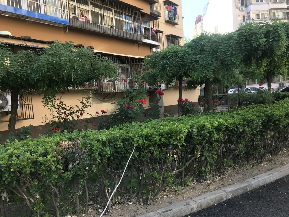小区相关图