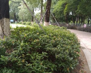 东逸翠苑地铁珊美站旁公园旁精装2房