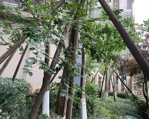 卓锦万黛3室1厅南