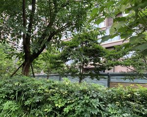 霏红榭2室2厅南