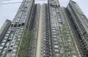 凯德卓锦万黛实景图