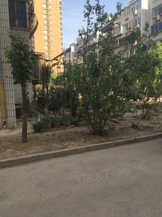 星光小区实景图