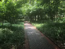 1号线石油路轻轨站旁,平层两房诚售,临龙湖时代天街