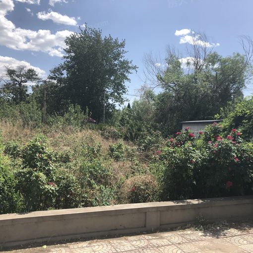  ũ����1��1��1���ϳ���500.00Ԫ/�³��� 