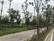 兰溪荟别墅,能达地铁口,3+1南北大院子