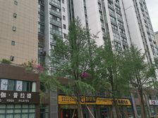 金地金沙府邸1室1厅西南