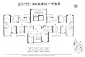 3栋标准层平面图