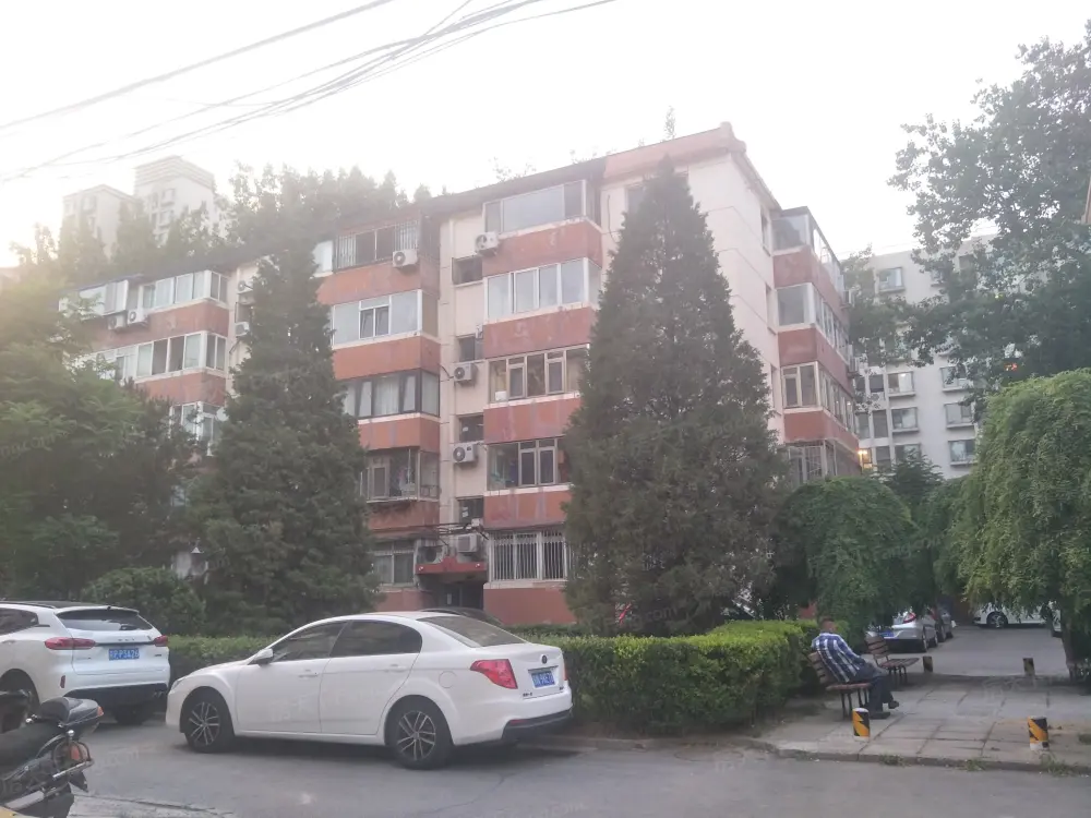实景图