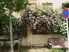 新港壹号两室经典户型价格美丽房主着急看房方便急急急