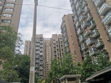 中大君悦金沙九期君雅院3室2厅西南