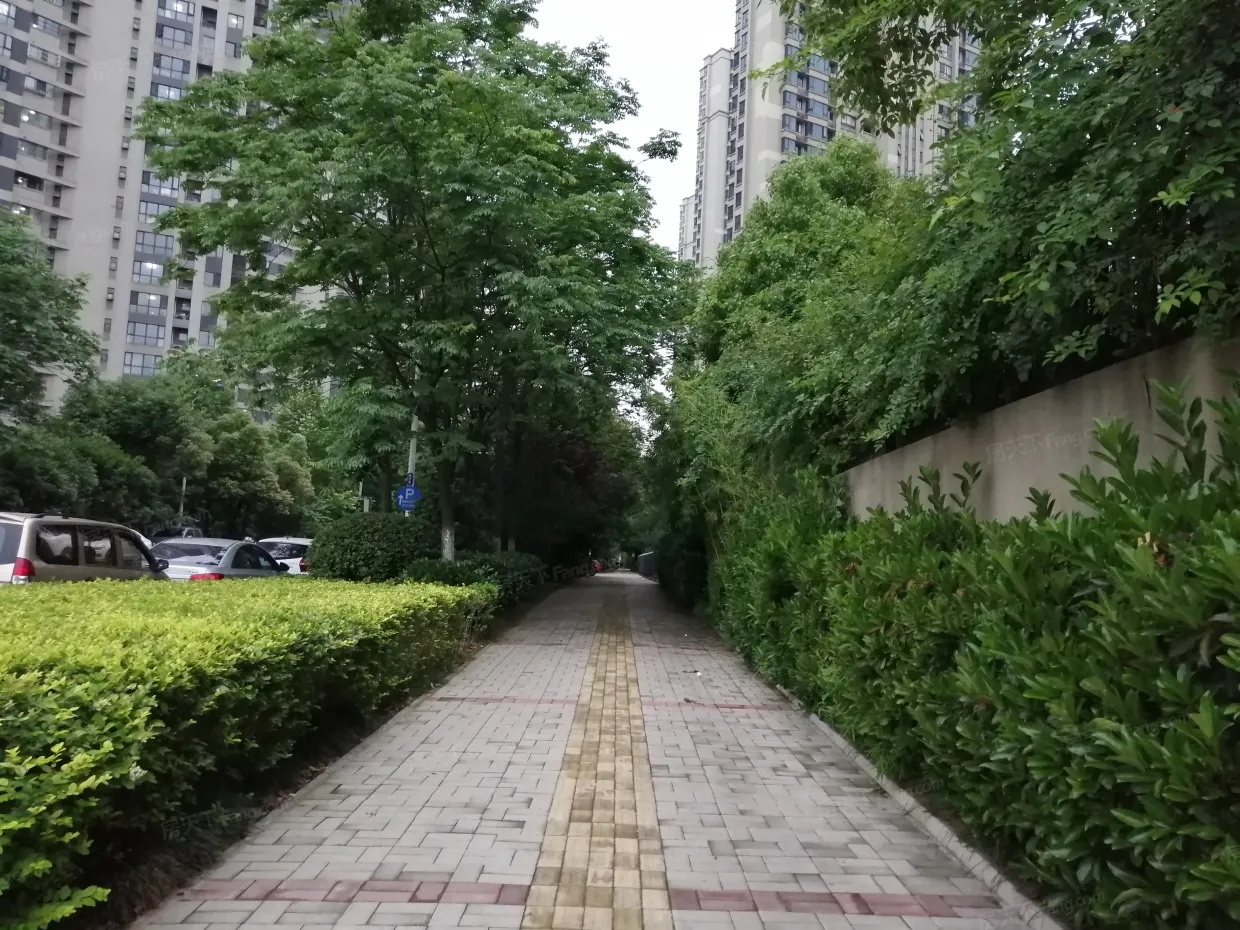 【合肥国贸天琴湾小区,二手房,租房】- 合肥房天下