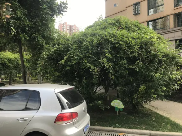 龙湖天琅实景图