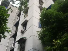 自由村 三房 采光好 出行方便