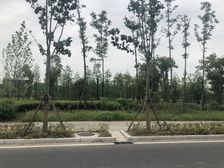 中兴兰溪会毛坯,采光好视野好,满二