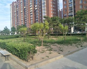 姚家园东里8号院2室1厅东南
