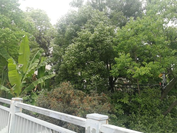 雅戈尔东海府实景图