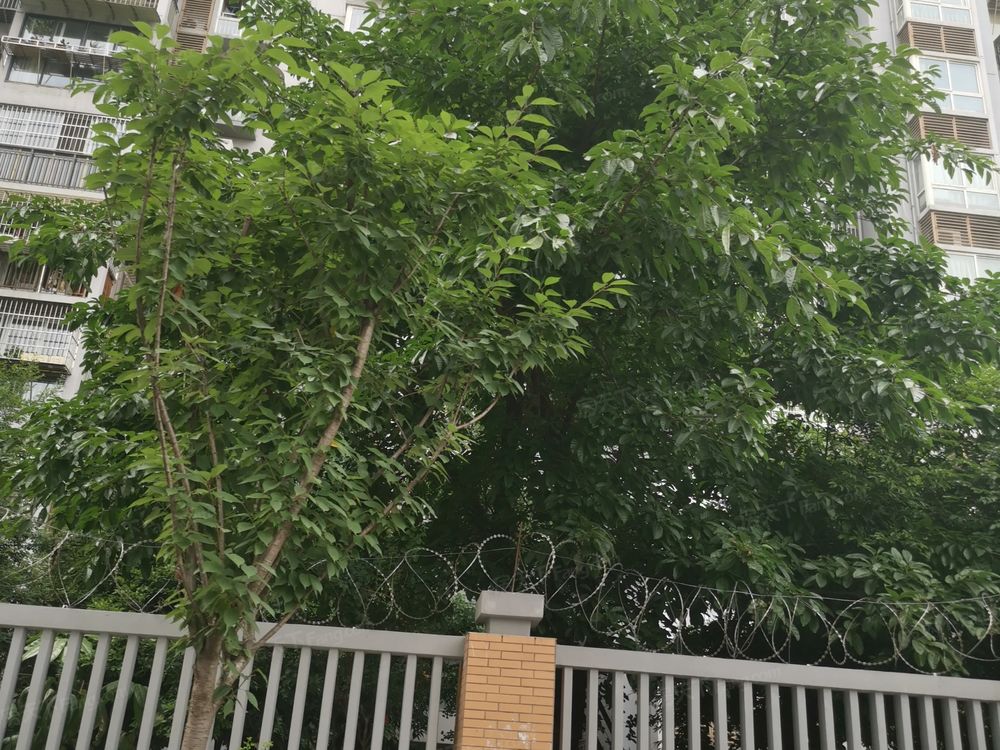 小区相关图