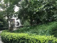 双碑 汇景雅居二房61万