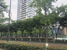 双拼别墅,私家花园,精装修拎包入住