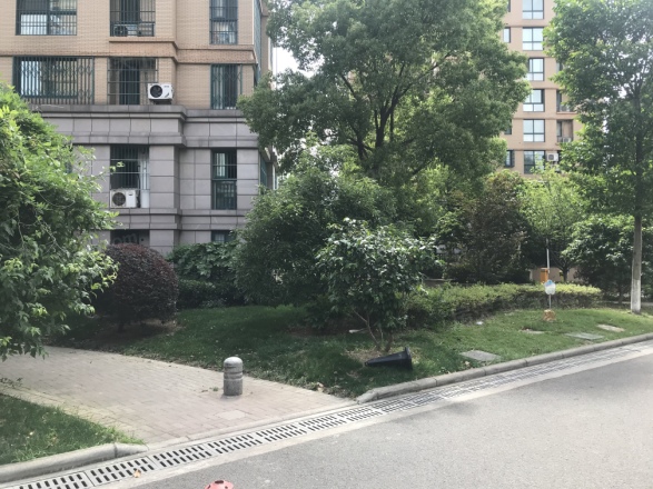 龙湖天琅实景图