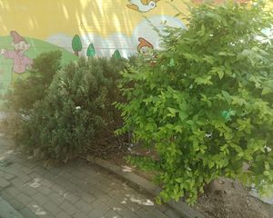 楼层很好的117的房主诚心出售店长推荐