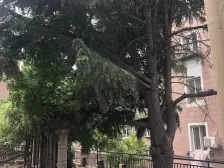 南石道街商圈,一楼 南北向。