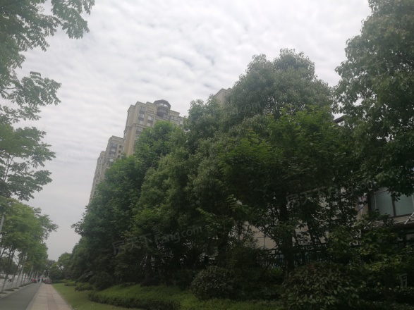 雅戈尔东海府实景图