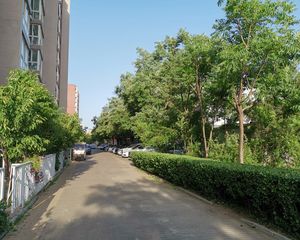 彩虹城五区满五年唯一南向对小区花园不遮挡