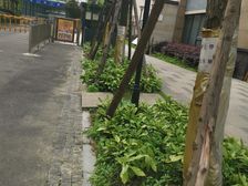 中大君悦金沙九期君雅院2室1厅东南
