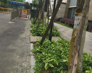 中大君悦金沙九期君雅院2室1厅东南