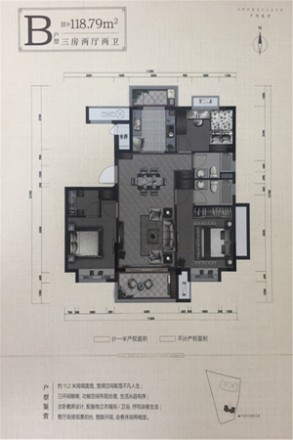 科大柳岸晓风