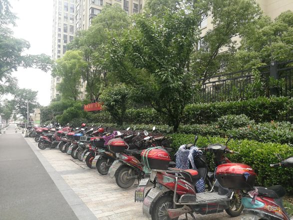 雅戈尔东海府实景图