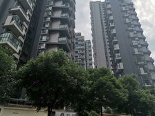 中大君悦金沙九期君雅院2室1厅西南