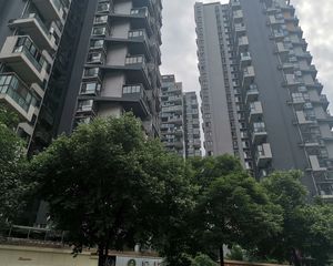 中大君悦金沙九期君雅院2室1厅西南