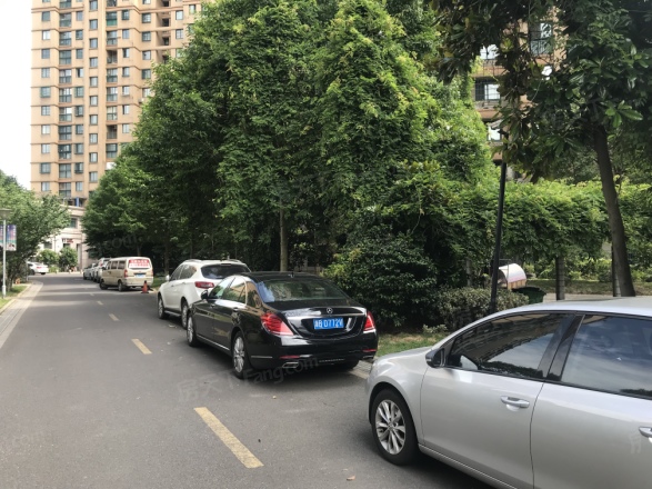 龙湖天琅实景图