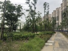 兰溪荟纯毛坯大三房,诚心出售,近永旺世茂商圈