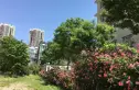 上元雅苑实景图