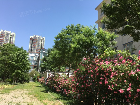 上元雅苑实景图