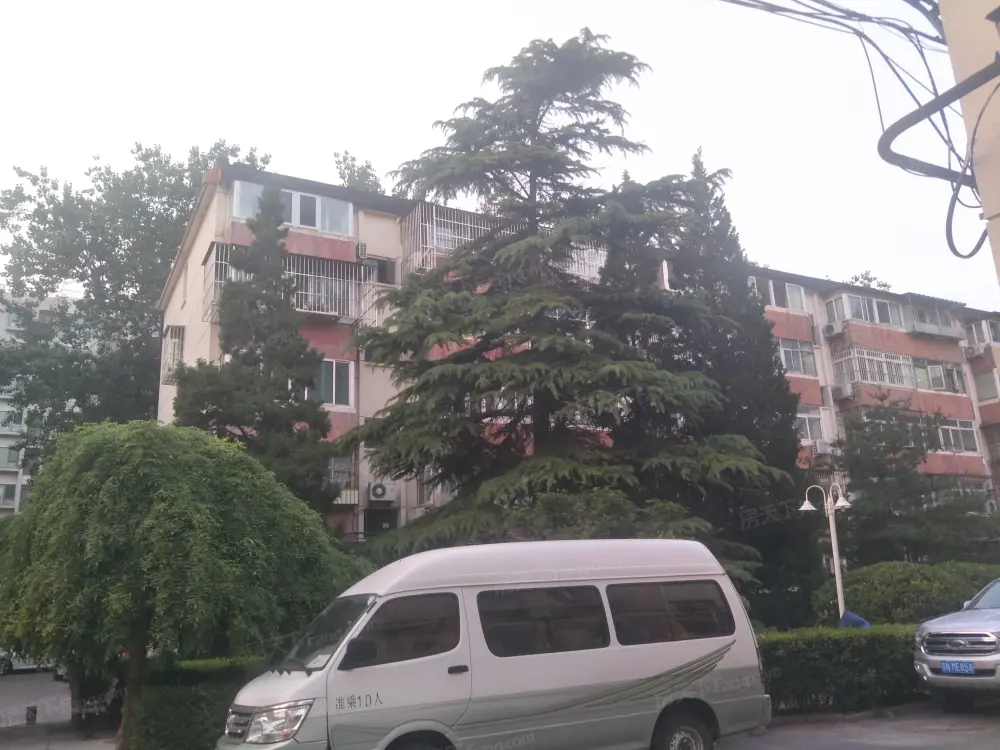 实景图