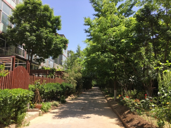 上元雅苑实景图