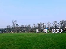 美盛象湖100金悦园 1室1厅 西